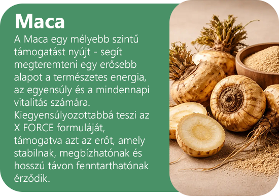 Maca-card-hu